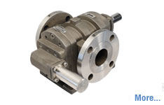 Rotary Twin Gear Pump in Angul