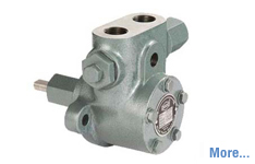 Fuel Injection Internal Gear Pump in Ankleshwar