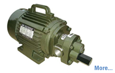 Mono Block Rotary Gear Pump in Ankleshwar