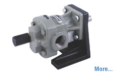 Oil Gear Pump in Ankleshwar