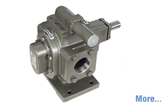 External Gear Pump in Odisha