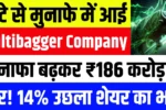 घाटे से मुनाफे में आई यह Multibagger Company, मुनाफा बढ़कर ₹186 करोड़ के पार, 14% उछलें शेयर